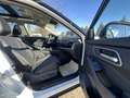 Nissan X-Trail 1.5 VC-T MHEV 163 PS Xtronic 4x2 Tekna+ 5 Sitze 20' Weiß - thumbnail 7