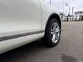 Volkswagen Touareg V6 TDI BMT +STANDHZG+AHK+KAMERA+ Weiß - thumbnail 7