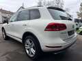 Volkswagen Touareg V6 TDI BMT +STANDHZG+AHK+KAMERA+ Weiß - thumbnail 4