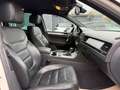 Volkswagen Touareg V6 TDI BMT +STANDHZG+AHK+KAMERA+ Weiß - thumbnail 17