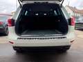 Volkswagen Touareg V6 TDI BMT +STANDHZG+AHK+KAMERA+ Weiß - thumbnail 8