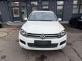 Volkswagen Touareg V6 TDI BMT +STANDHZG+AHK+KAMERA+ Weiß - thumbnail 3