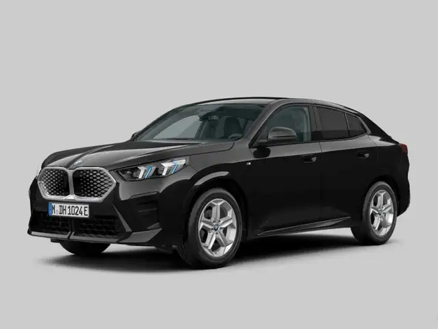BMW iX2 eDrive20 M Sportpaket ACC Memory AHK Sound