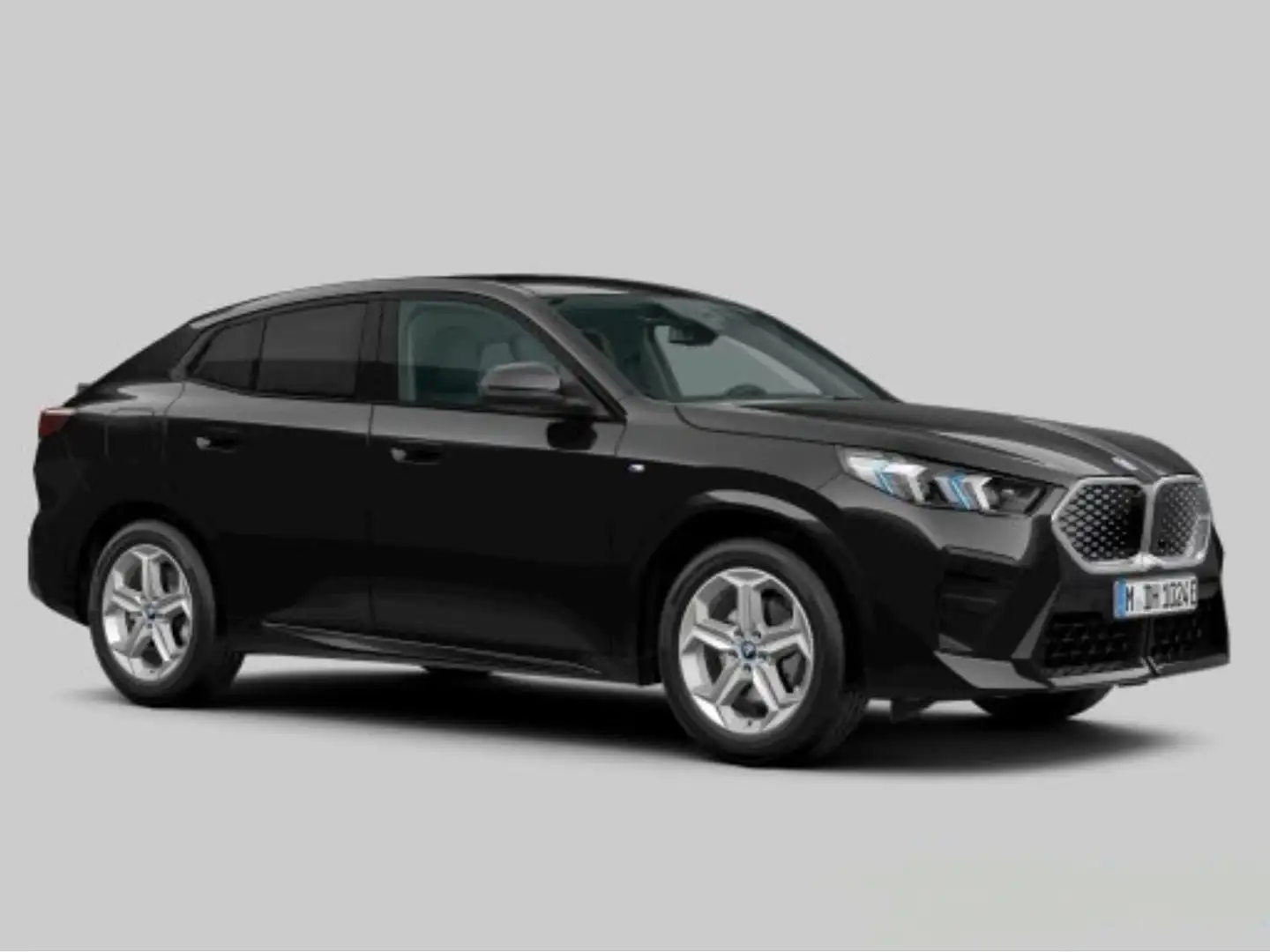 BMW iX2 eDrive20 M Sportpaket ACC Memory AHK Sound Schwarz - 2