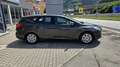 Ford Focus Traveller 1,5 TDCi Grau - thumbnail 9