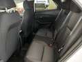 Mazda CX-30 2.5 m-hybrid Homura 2wd 140cv 6mt Bianco - thumbnail 10