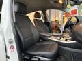 BMW X4 xDrive20d Business Advantage (NESSUN VINCOLO) Bianco - thumbnail 11