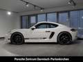 Porsche Cayman 718 Style Edition LenkradHZG Rückfahrkam. Gris - thumbnail 2