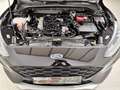 Ford Focus 1.0 EcoBoost Active LED|Winter|Navi|Sound Nero - thumbnail 21