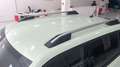 Fiat Grande Panda 1.2 MHEV DCT ICON 100 5P Verde - thumbnail 20