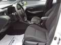 Suzuki Swace 1.8 HEV E-CVT  Flash !! Neuzugang !! Weiß - thumbnail 6