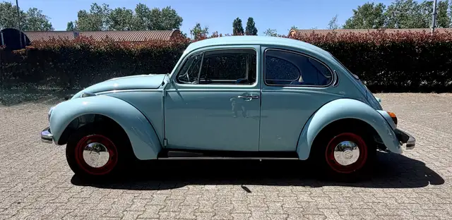 Volkswagen Maggiolino Maggiolino Vetro Piatto