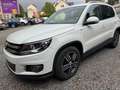 Volkswagen Tiguan Tiguan 2.0 TDI DPF BlueMotion Technology Cup Weiß - thumbnail 2