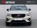 Volvo XC40 Plus Dark B3 19''LM Y Design DAB Harman LED Leder Beige - thumbnail 10