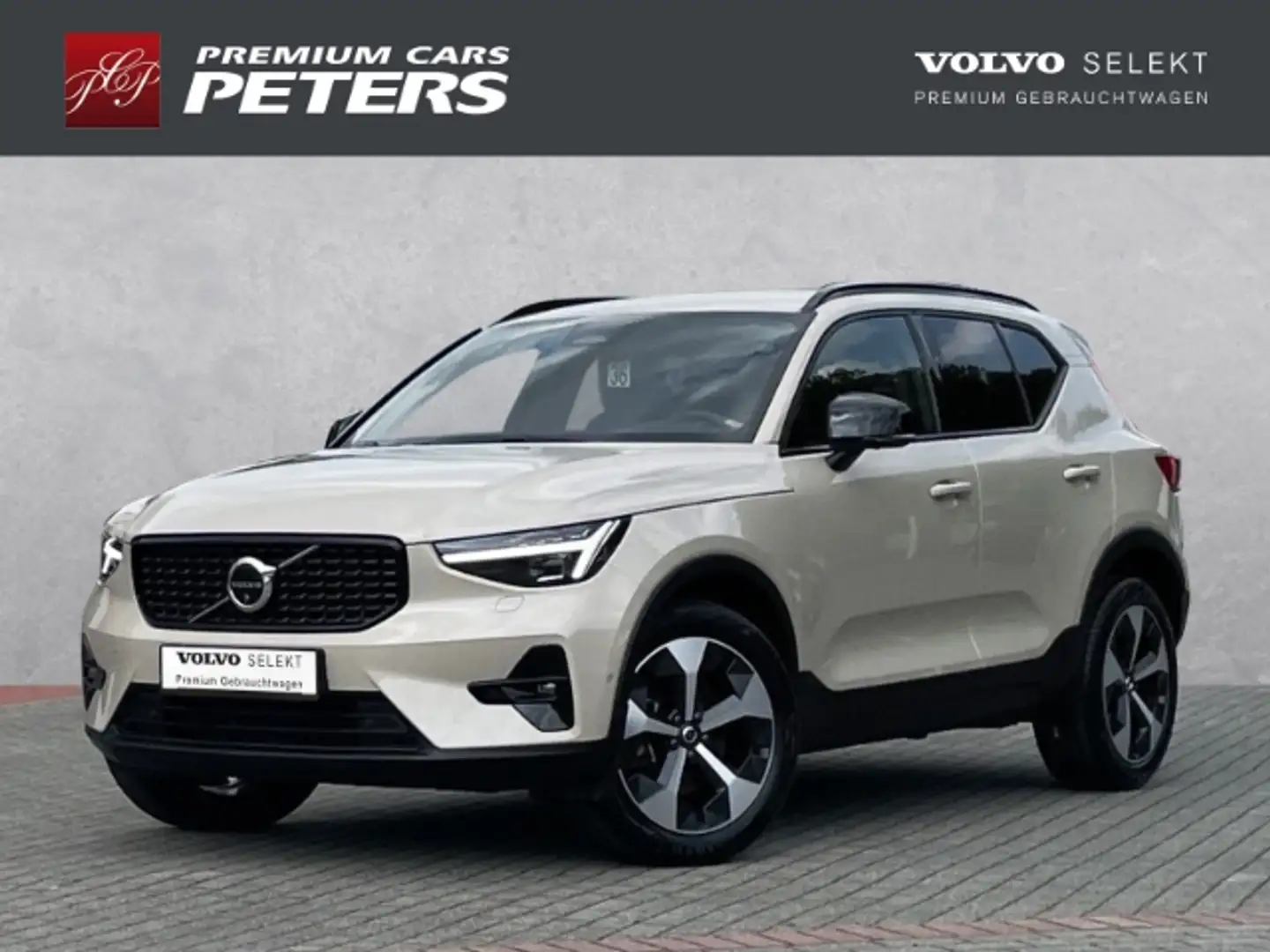 Volvo XC40 Plus Dark B3 19''LM Y Design DAB Harman LED Leder Beige - 2
