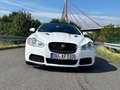 Jaguar XF XFR 5.0 V8 Kompressor Blanc - thumbnail 6