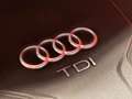 Audi A5 /SPORTBACK/2.0 TDI/190 PS/QUATTRO/3.HAND/B&O!! Rojo - thumbnail 16