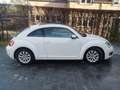 Volkswagen Beetle 1.4 TSI Sport DSG Blanc - thumbnail 2