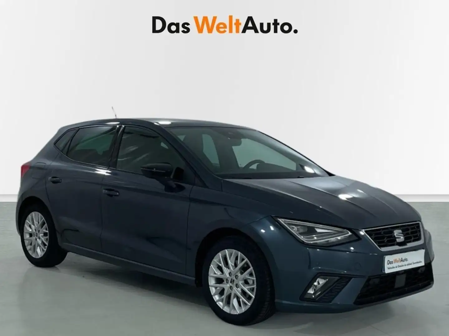 SEAT Ibiza 1.0 TSI S&S FR Salta 115 Gris - 1