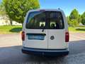 Volkswagen Caddy Caddy Maxi Kastenwagen AHK Klima Tempomat Fenst... Blanco - thumbnail 4