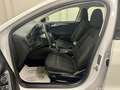 Ford Focus Traveller 1,5 EcoBlue Trend*AHK*Parksensoren*Bl... Weiß - thumbnail 14