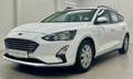 Ford Focus Traveller 1,5 EcoBlue Trend*AHK*Parksensoren*Bl... Weiß - thumbnail 11
