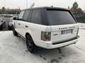 Land Rover Range Rover 3.6 TDV8 SE Wit - thumbnail 2
