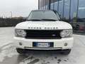Land Rover Range Rover 3.6 TDV8 SE Wit - thumbnail 28
