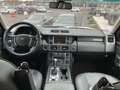 Land Rover Range Rover 3.6 TDV8 SE Wit - thumbnail 3