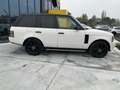 Land Rover Range Rover 3.6 TDV8 SE Wit - thumbnail 30