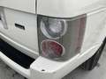 Land Rover Range Rover 3.6 TDV8 SE Wit - thumbnail 32