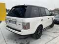 Land Rover Range Rover 3.6 TDV8 SE Wit - thumbnail 31