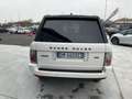 Land Rover Range Rover 3.6 TDV8 SE Wit - thumbnail 34