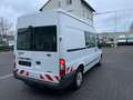 Ford Transit L2 H2*6-Sitzer*Klima+Standheizung+AHK* Wit - thumbnail 8