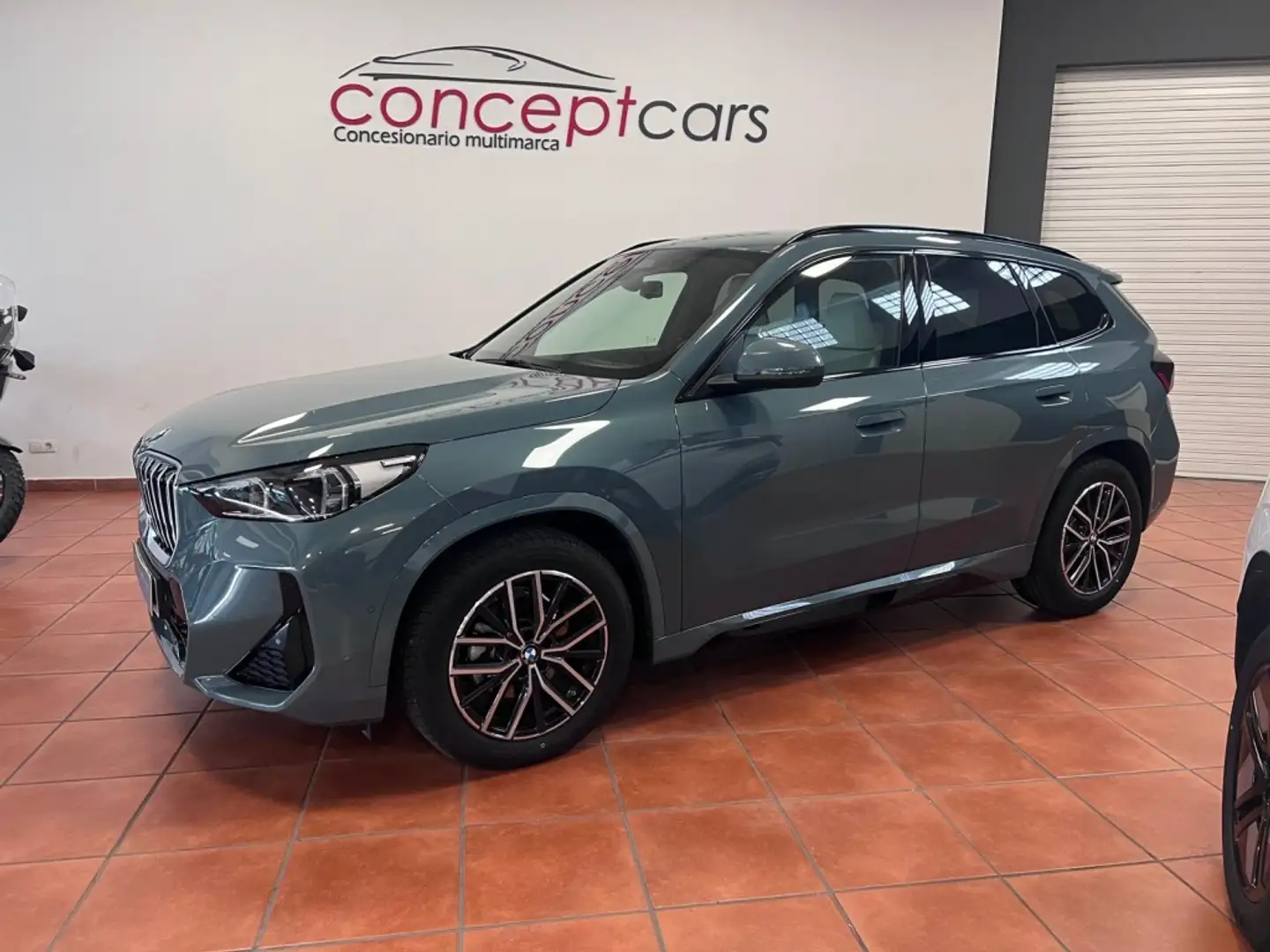 BMW X1 sDrive 20dA M Sport Verde - 2