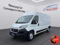 Fiat Ducato 35 2.3 MJT 130CV CRUISE(PL-TM L3H2)SENSORI-FURGONE Weiß - thumbnail 1