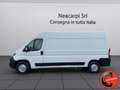 Fiat Ducato 35 2.3 MJT 130CV CRUISE(PL-TM L3H2)SENSORI-FURGONE Weiß - thumbnail 2