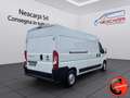 Fiat Ducato 35 2.3 MJT 130CV CRUISE(PL-TM L3H2)SENSORI-FURGONE Weiß - thumbnail 7