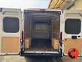 Fiat Ducato 35 2.3 MJT 130CV CRUISE(PL-TM L3H2)SENSORI-FURGONE Weiß - thumbnail 25
