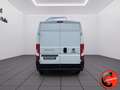 Fiat Ducato 35 2.3 MJT 130CV CRUISE(PL-TM L3H2)SENSORI-FURGONE Weiß - thumbnail 6
