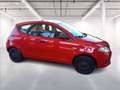 Lancia Ypsilon 1.0 firefly hybrid Gold s&s 70cv Rot - thumbnail 8