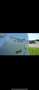 Toyota Prius Prius Weiß - thumbnail 5