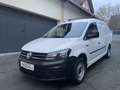Volkswagen Caddy Maxi Kastenwagen Entry 2,0 TDI**63.000LM**1.Bes... Schwarz - thumbnail 3