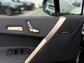 BMW iX xDrive 40 M-Sport AHK PANO H/K Parkass+ LCProf Alb - thumbnail 13