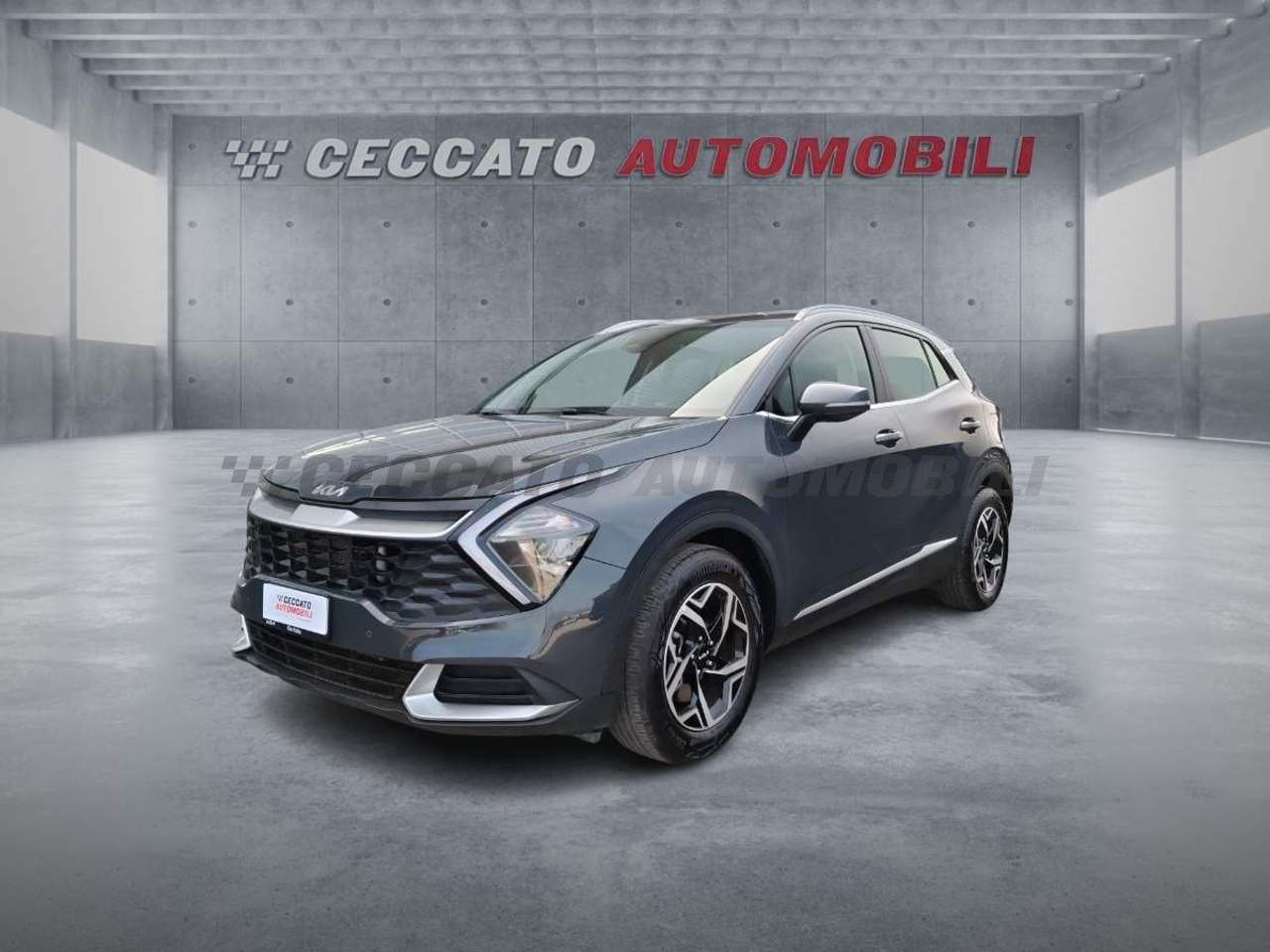 Kia Sportage Sportage 1.6 crdi mhev Business dct