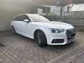 Audi A4 A4 Avant 2,0 TDI S-tronic Weiß - thumbnail 1