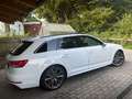Audi A4 A4 Avant 2,0 TDI S-tronic Weiß - thumbnail 2