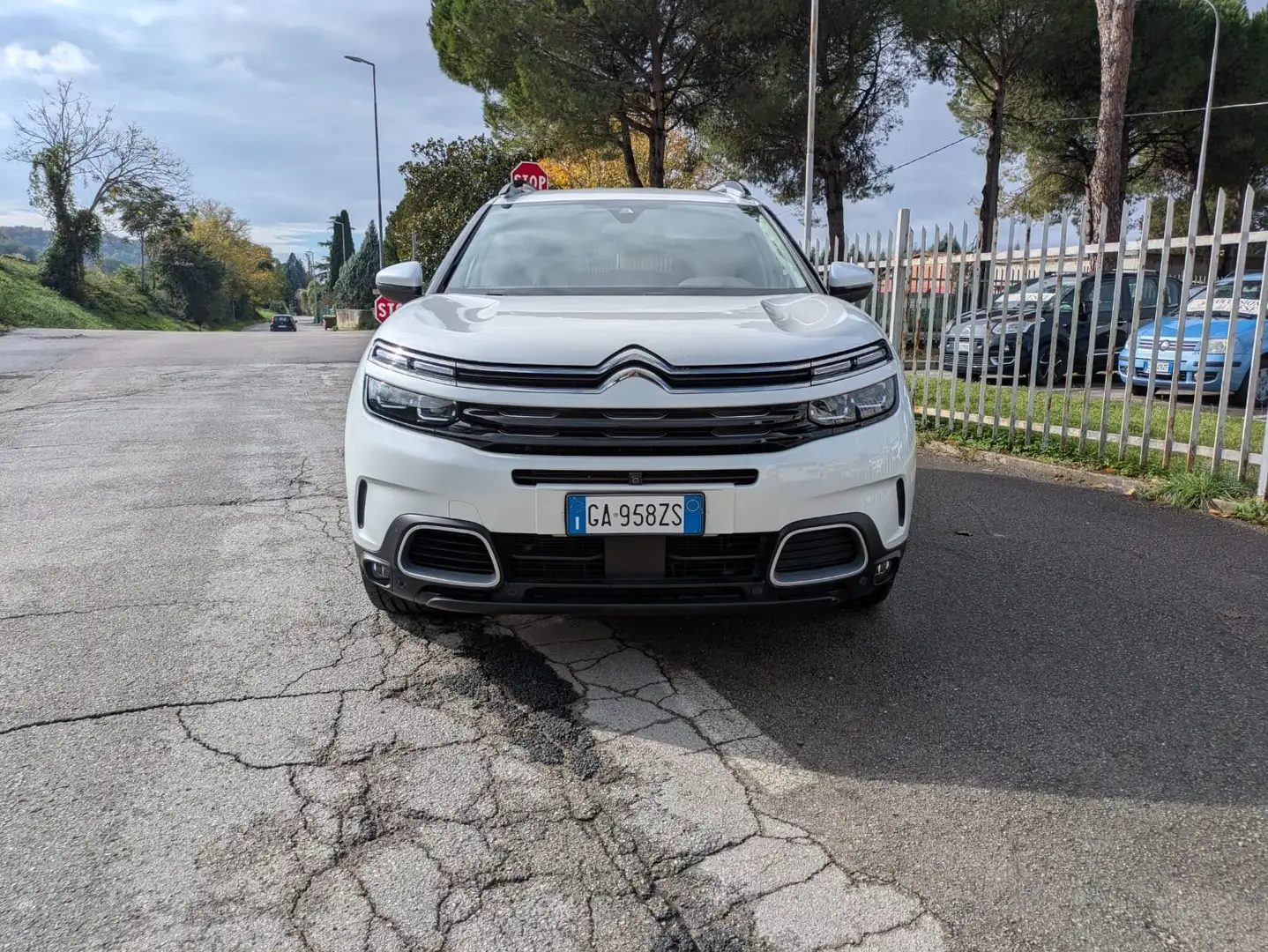 Citroen C5 Aircross C5 Aircross 2.0 bluehdi Shine s Wit - 2