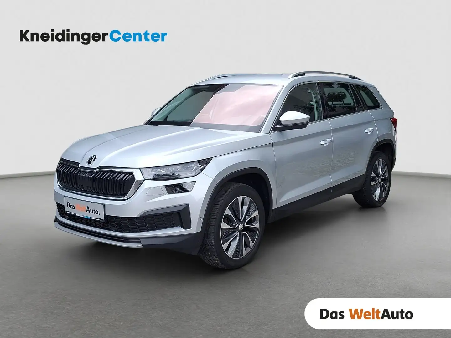 Skoda Kodiaq 4x4 Ambition SC TDI DSG Argento - 1