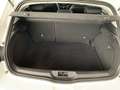 Renault Megane 1.5dCi Blue Business 85kW Blanco - thumbnail 7